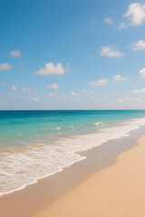 Beautiful Tropical Beach with Gentle Waves and Clear Sky