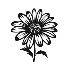 daisy flower silhouette