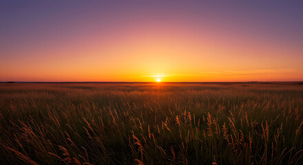 Golden Hour Glow Sun Kissed Prairie Grasses at Dusk with Vibrant Sky