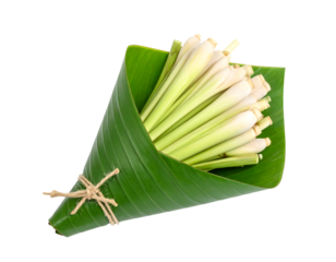 Bunch of fresh lemongrass stalks wrapped in a banana leaf, isolated on black background, close-up view, natural lighting, fragrant herb, culinary ingredient, healthy food, aromatic, bright green
