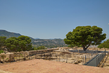 Tree growing among the ruins of Denia Castle