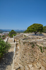 Tree growing among the ruins of Denia Castle