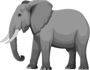 Elephant vector illustration