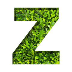 Z shape made of leaves isolated on transparent background, go green concept, PNG	
