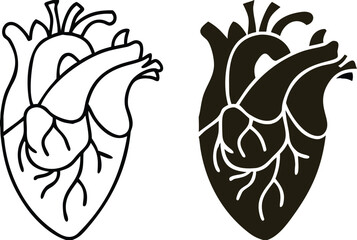 Heart Icons. Black and White Vector Illustration. Muscular Organ That Pumps Blood Through The Blood Vessels. Human Internal Organ. Concept Anatomy and Medicine
