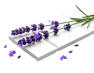 Purple flower sprigs on white stone tiles, scattered flowers, isolated on transparent background, natural light, close up