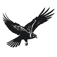 Fototapeta premium falcon silhouette