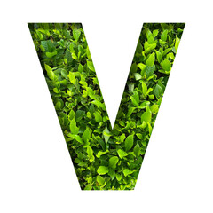 V shape made of leaves isolated on transparent background, go green concept, PNG	
