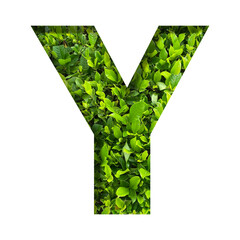 Y shape made of leaves isolated on transparent background, go green concept, PNG	
