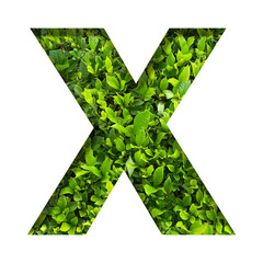 X shape made of leaves isolated on transparent background, go green concept, PNG	
