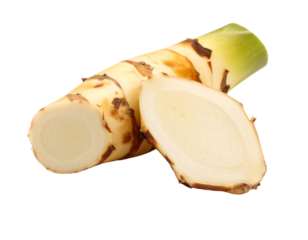 Close up of sliced galangal root, showing the light creamy interior and brown exterior.  The image is isolated on a transparent background, perfect for displaying the detail of this edible root
