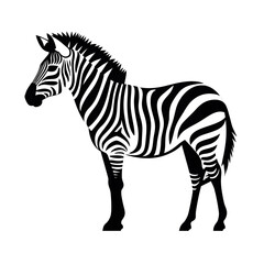 Fototapeta premium a zebra silhouette