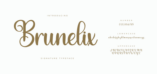Elegant Script Signature Font for Wedding Invitations, Business Branding, and Fashion Projects 
