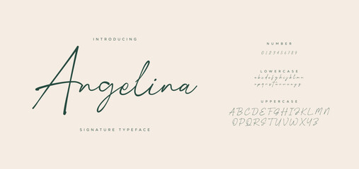 Elegant Script Font Alphabet Typography. Signature Font Calligraphy Logotype Script Brush Font Type Font lettering handwritten 

