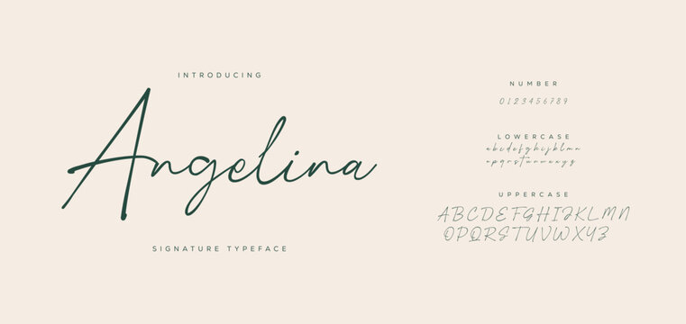 Elegant Script Font Alphabet Typography. Signature Font Calligraphy Logotype Script Brush Font Type Font lettering handwritten 

