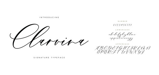 Clarvira handwrite signature font Calligraphy Logotype Script Brush Font Type Font lettering handwritten 