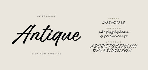 Hand drawn vector alphabet. Signature script font. Isolated letters written with marker, ink. Calligraphy, lettering. 
