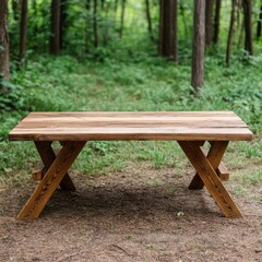 Rustic Wood Picnic Table in Forest Clearing, picnic, outdoors