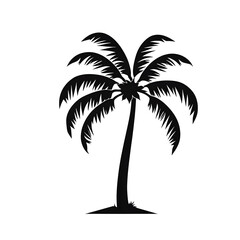 palm silhouette
