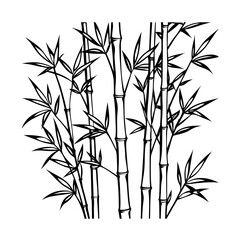 bamboo vector illustration