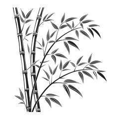 bamboo vector illustration
