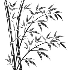Obraz premium bamboo leaves on white background