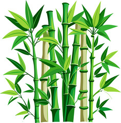 bamboo vector illustration