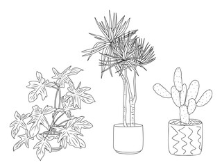 Set of Houseplants outline drawings. Indoor exotic flowers in pots line art. Yucca, cactus, alocasia plant for home interior plans, design. Vector illustrations isolated	
