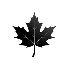 Fototapeta premium maple leaf silhouette