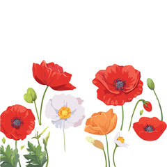 Fototapeta premium Hand drawn wildflowers and poppies. Decorative vector set
