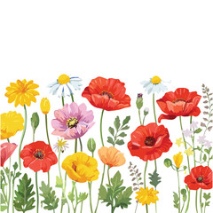Fototapeta premium Hand drawn wildflowers and poppies. Decorative vector set
