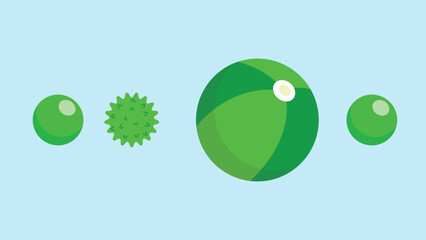 Beach ball vector illustration. Beach ball vector icon. Beach ball icon