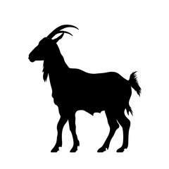 boer goat silhouette