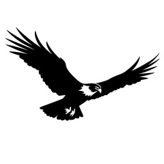 Obraz premium osprey silhouette