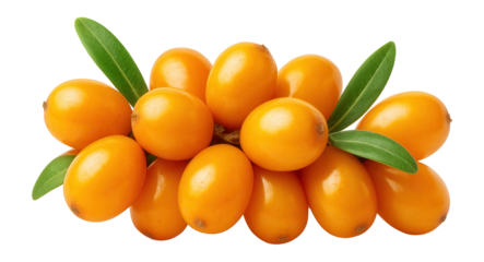 Arugula leaf with elongated, serrated edges and dark green color, displayed on a stone platter