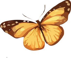 Butterfly vector art