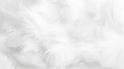 Obraz premium Generative AI, White Feather Texture Background