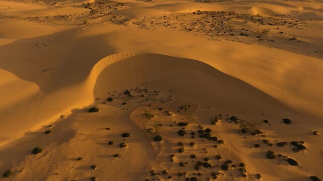 Cinematic drone orbit of wind-shaped sand dune with steep slip face and morning shadows, Corralejo Desert, Fuerteventura