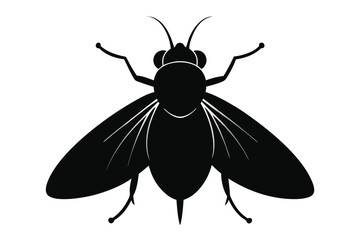 Black silhouette of a housefly insect