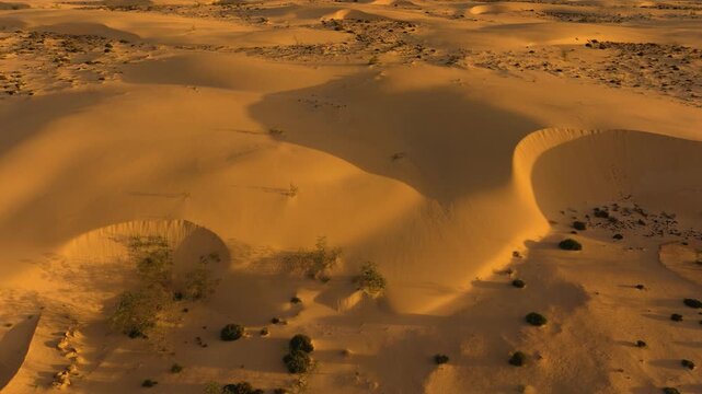 Cinematic drone orbit of wind-shaped sand dune with steep slip face and morning shadows, Corralejo Desert, Fuerteventura