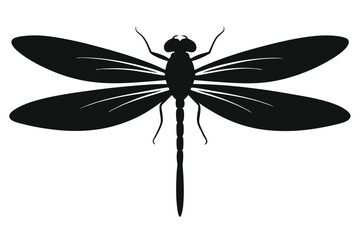 Elegant black silhouette of a dragonfly with intricate wings on a white background