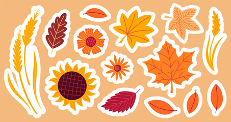 Autumn cozy  sticker set. Collection of fall leaves, foliage and flowers. Hand drawn flat vector illustration