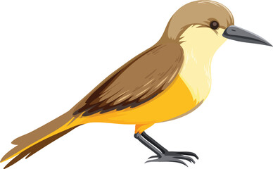 bird on a white background