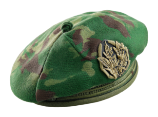 Military green beret hat displayed on focused isolated on transparent background, png