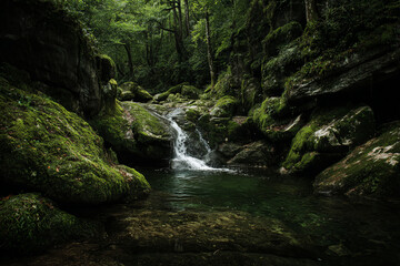 Small waterfall cascading into a natural pool surrounded by moss-covered rocks, shaded forest lighting