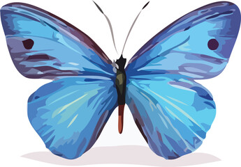butterfly vector art