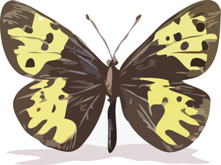 butterfly vector art