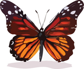 butterfly vector art