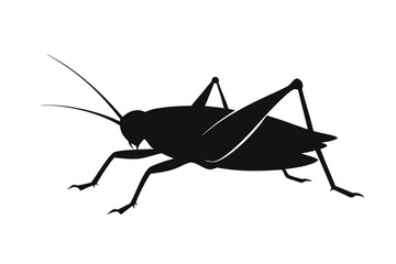 Silhouette illustration of a katydid insect on a clean white background