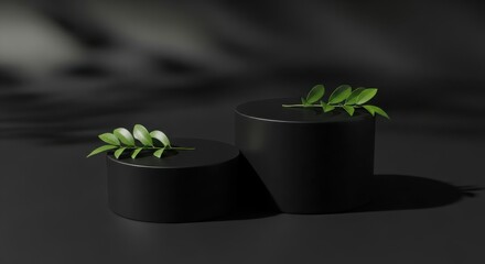 Minimalist black pedestals displaying delicate green leaf branches